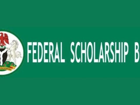 How To Apply For FSB Bilateral Scholarship 2025